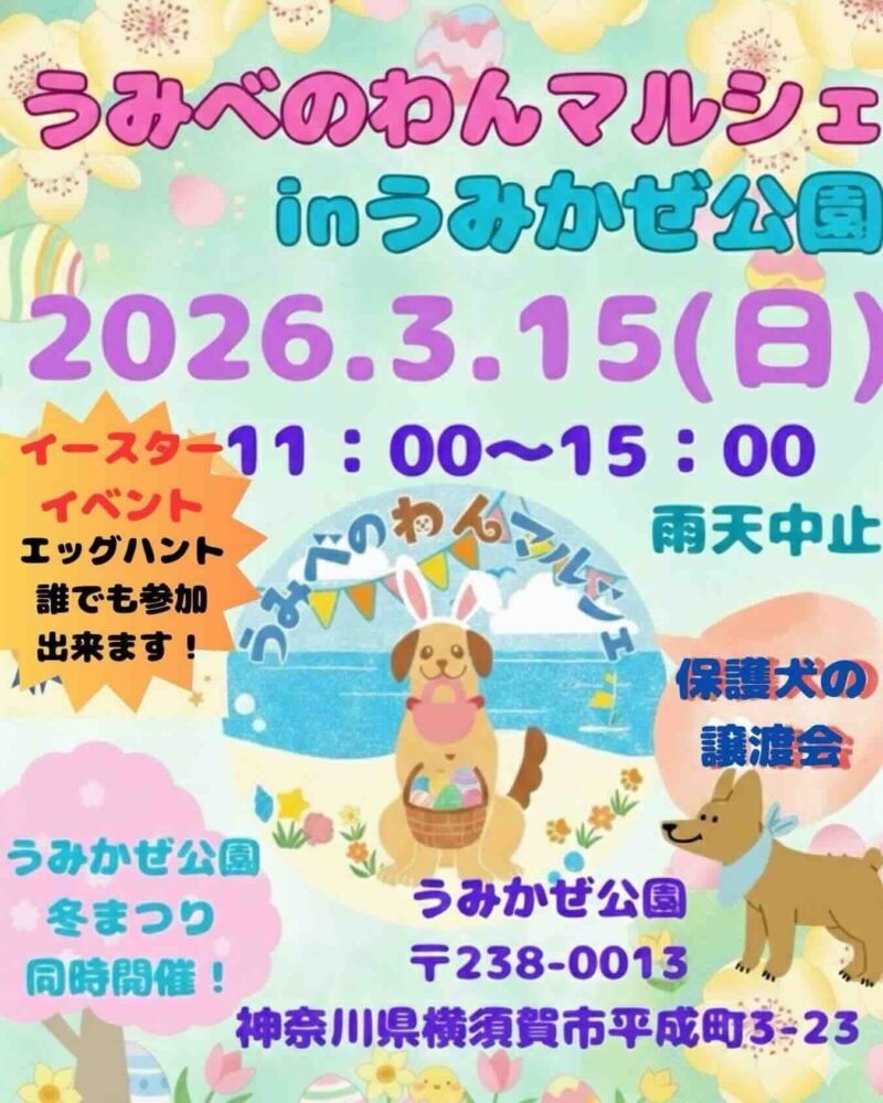 うみべのわんマルシェinうみかぜ公園のイベント画像