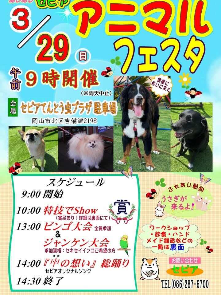 セピア アニマルフェスタのイベント画像