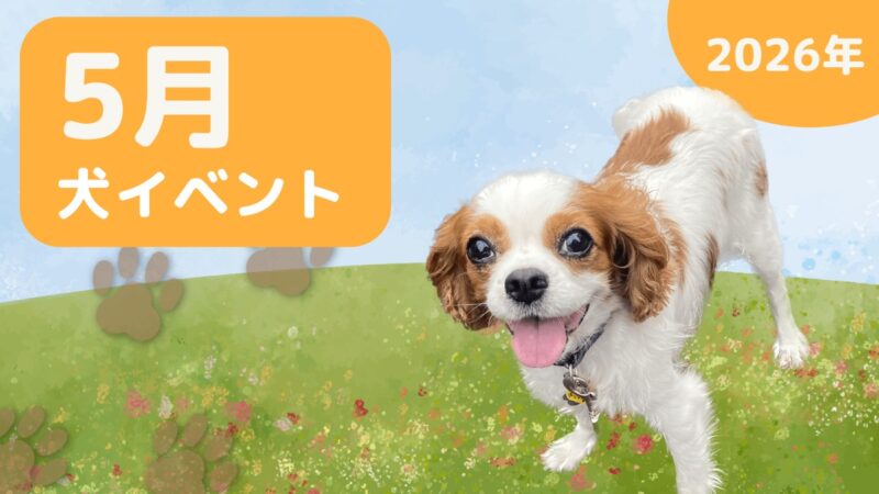 【犬とお出かけ】2026年4月犬イベントの画像