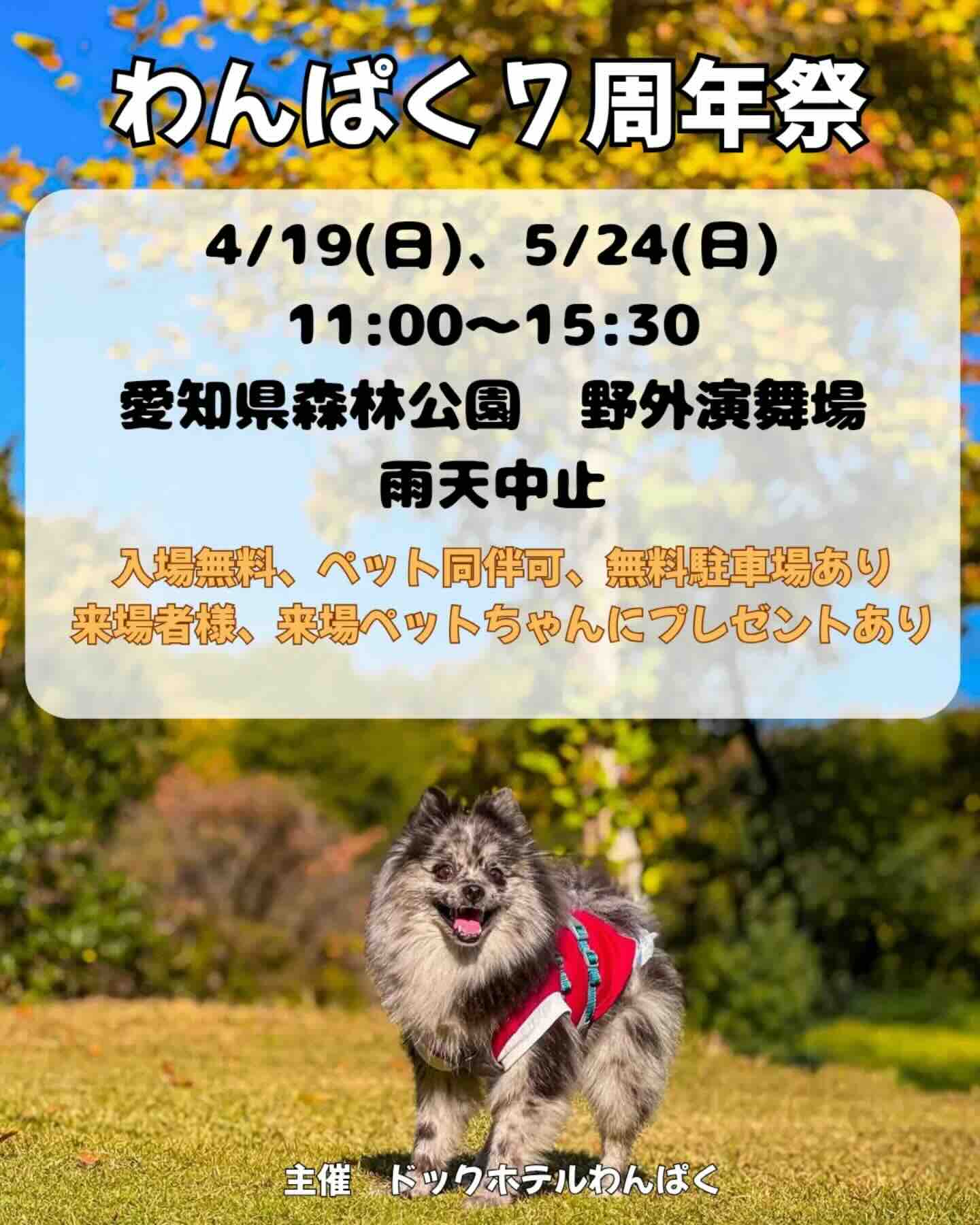 わんぱく7周年祭のイベント画像