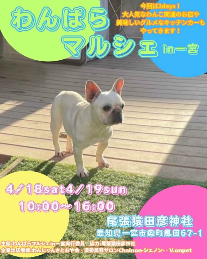 わんぱらマルシェ in 一宮のイベント画像