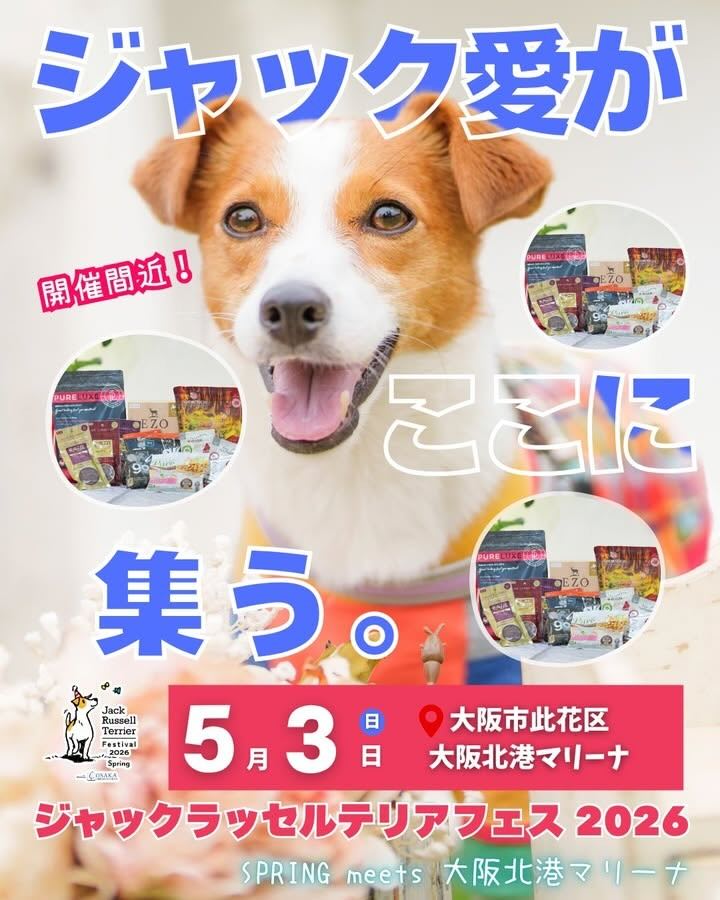 ジャックラッセルテリアフェスティバル 2026 SPRING meets 大阪北港マリーナのイベント画像