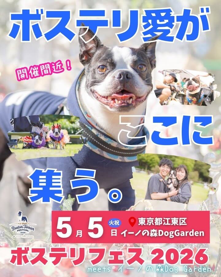ボストンテリアフェス 2026 meets イーノの森Dog Gardenのイベント画像