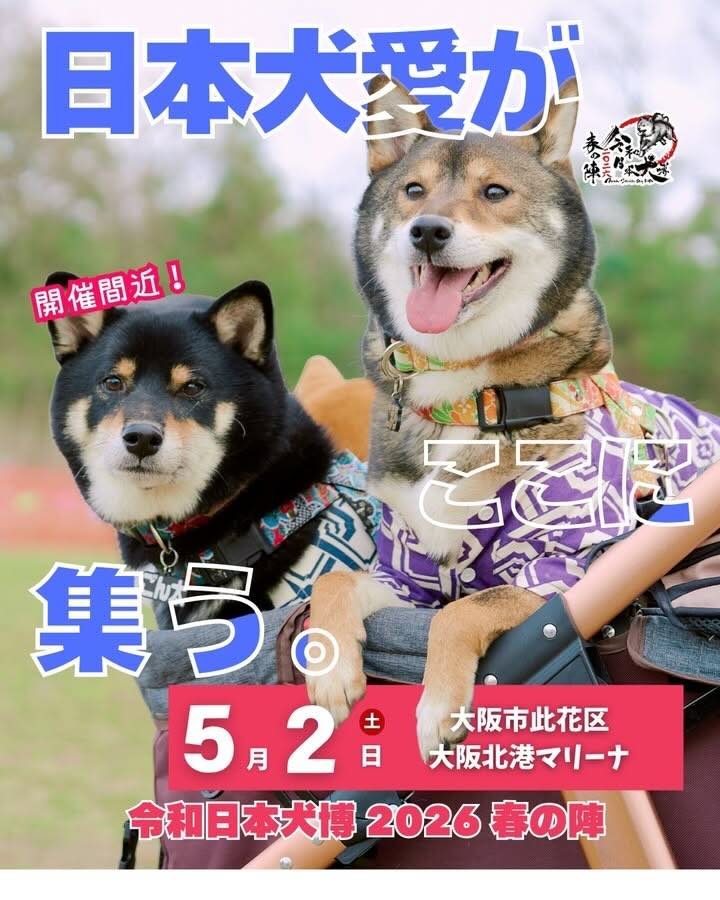 令和日本犬博 2026春の陣のイベント画像