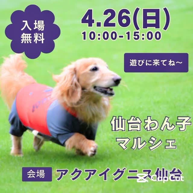 仙台わん子マルシェ 2026 春のイベント画像