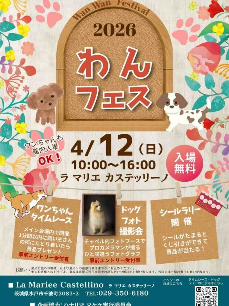 2026わんフェスのイベント画像