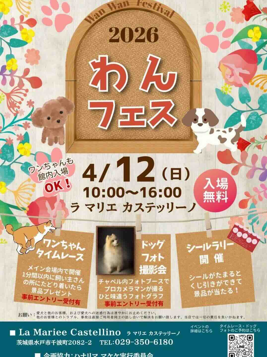 2026わんフェスのイベント画像