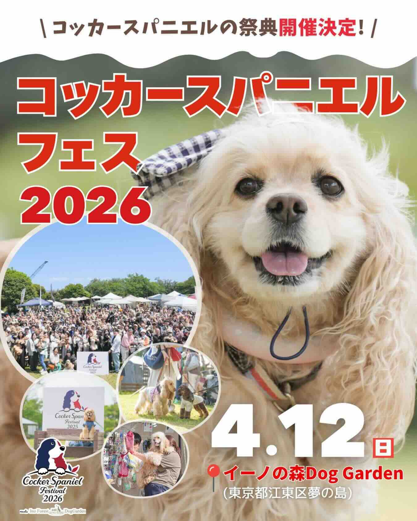 コッカースパニエルフェスティバル 2026 meets イーノの森Dog Gardenのイベント画像