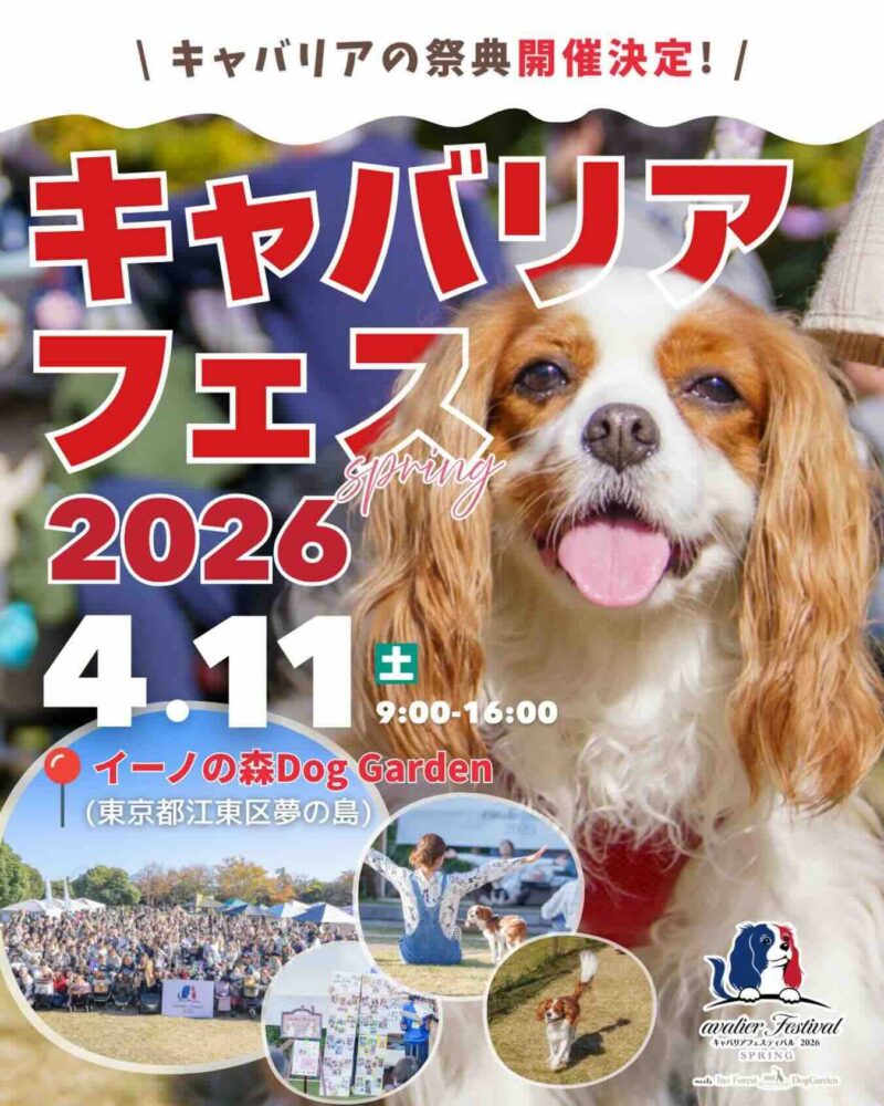 キャバリアフェスティバル 2026 SPRING meets イーノの森Dog Gardenのイベント画像