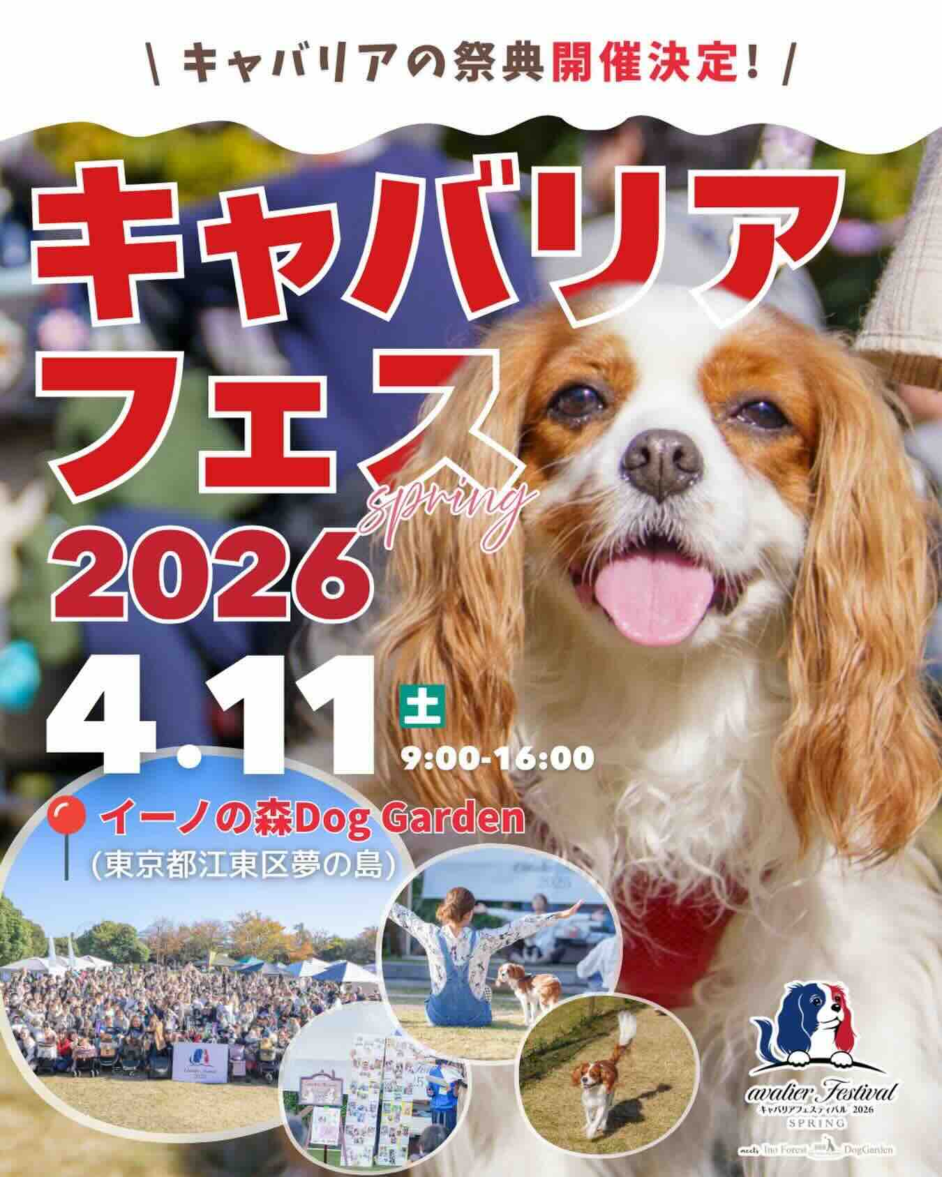 キャバリアフェスティバル 2026 SPRING meets イーノの森Dog Gardenのイベント画像