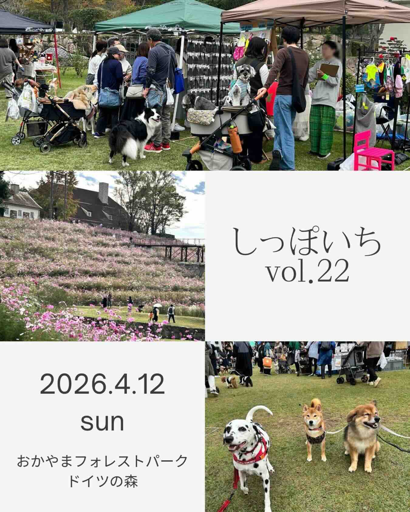 しっぽいち vol.22のイベント画像