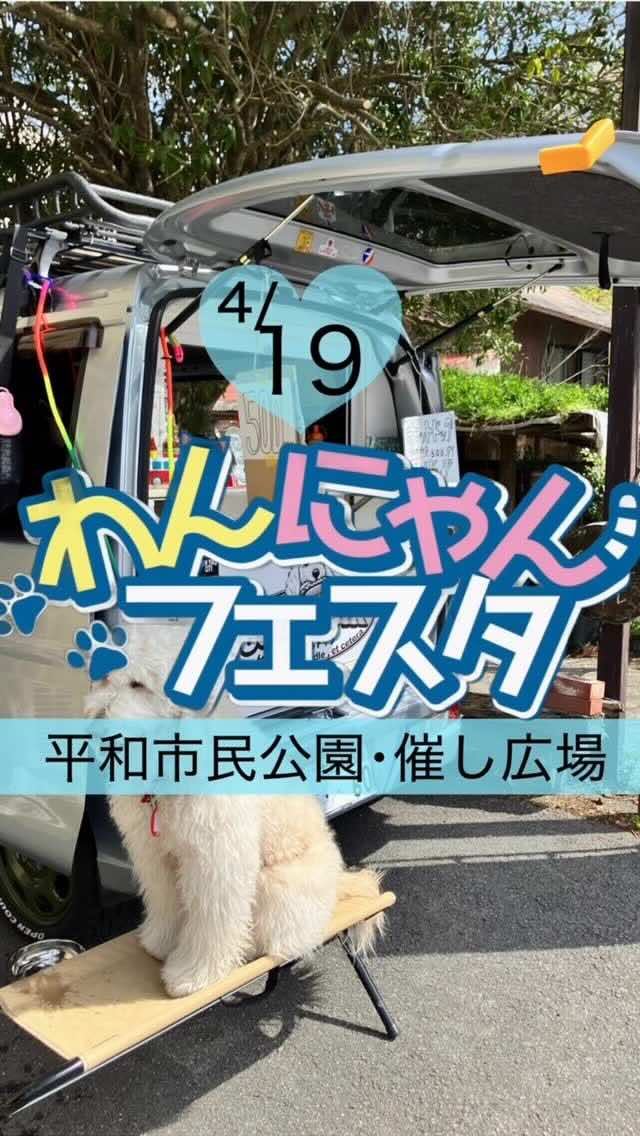 わんにゃんフェスタのイベント画像