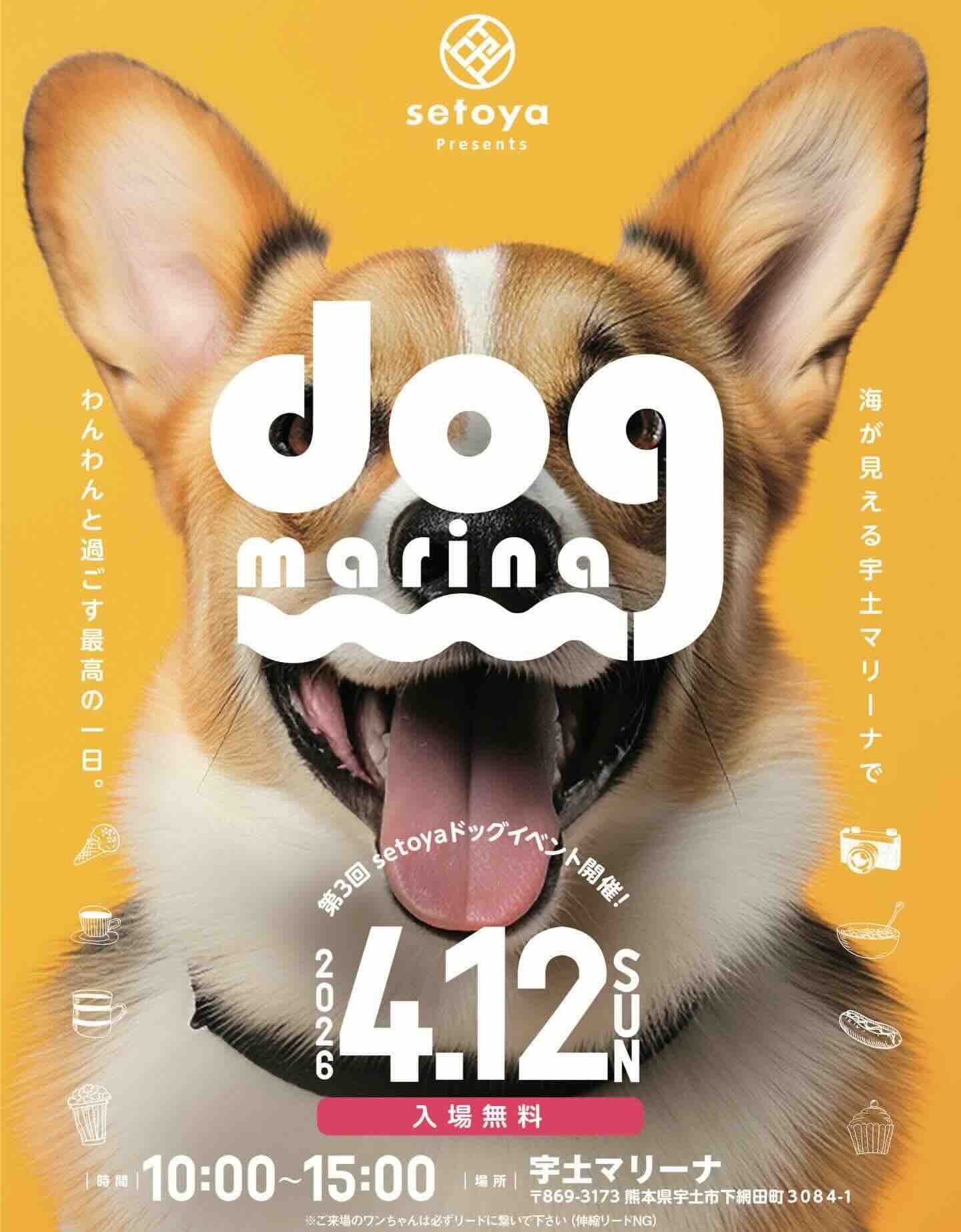 第3回 dog marinaのイベント画像