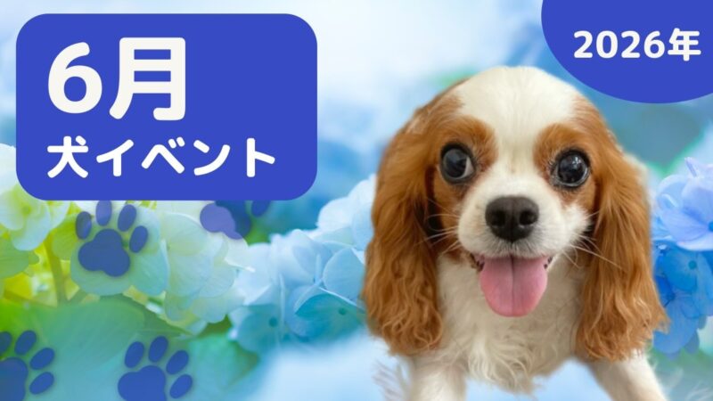 【犬とお出かけ】2026年6月犬イベントの画像