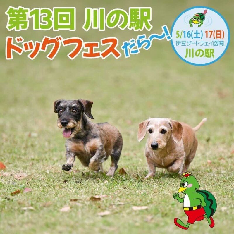 第13回 川の駅ドッグフェスだら～のイベント画像