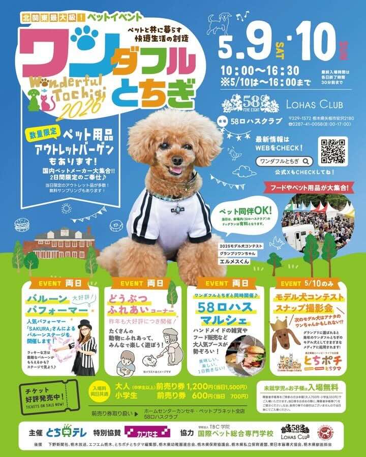 ワンダフルとちぎ 2026のイベント画像
