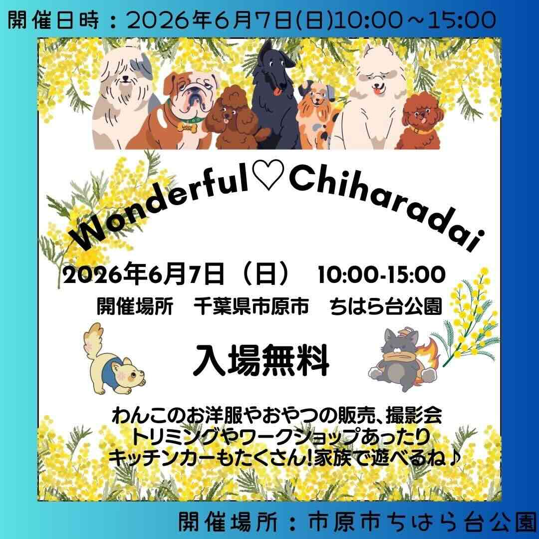 わんだふるちはらだいのイベント画像