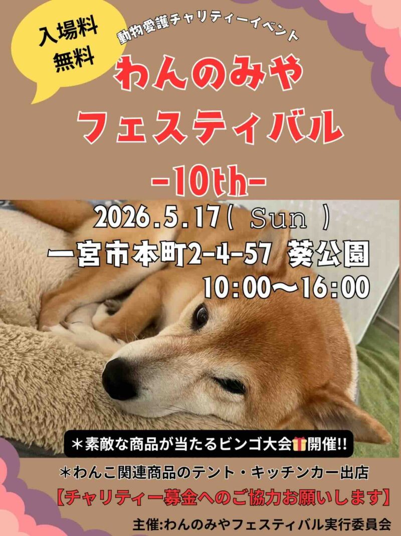 わんのみやフェスティバル -10th-のイベント画像