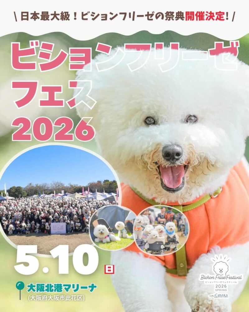 ビションフリーゼフェスティバル 2026 SPRING meets 大阪北港マリーナのイベント画像