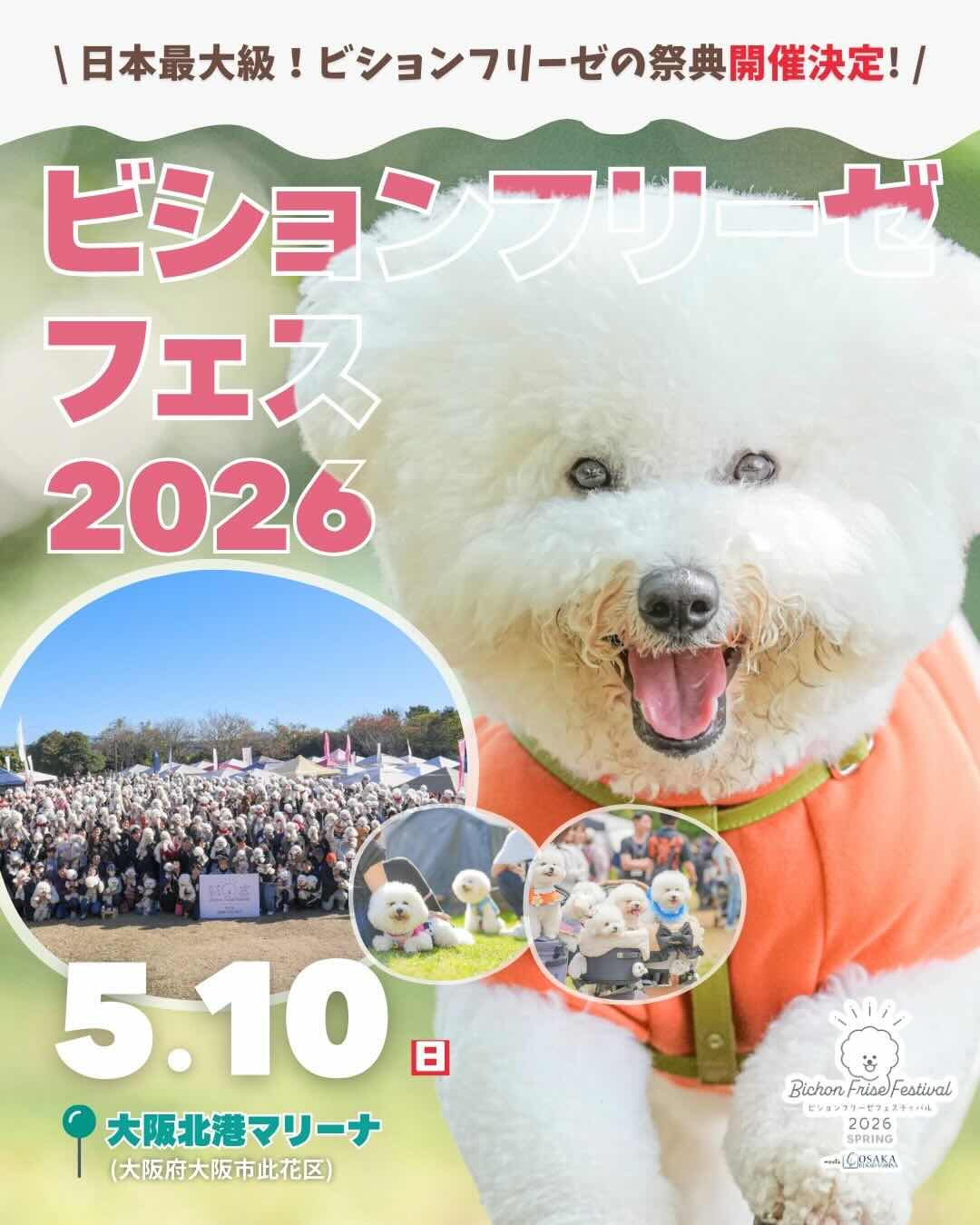 ビションフリーゼフェスティバル 2026 SPRING meets 大阪北港マリーナのイベント画像