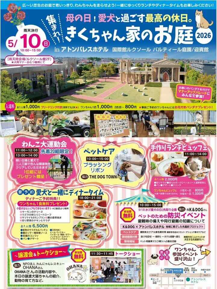 きくちゃん家のお庭 2026のイベント画像