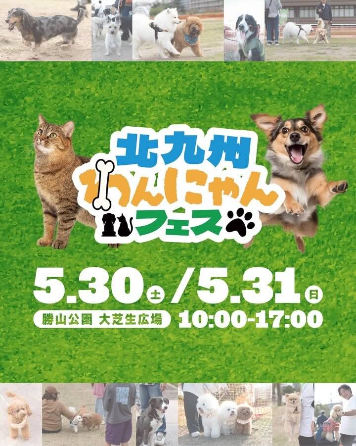 北九州わんにゃんフェスのイベント画像