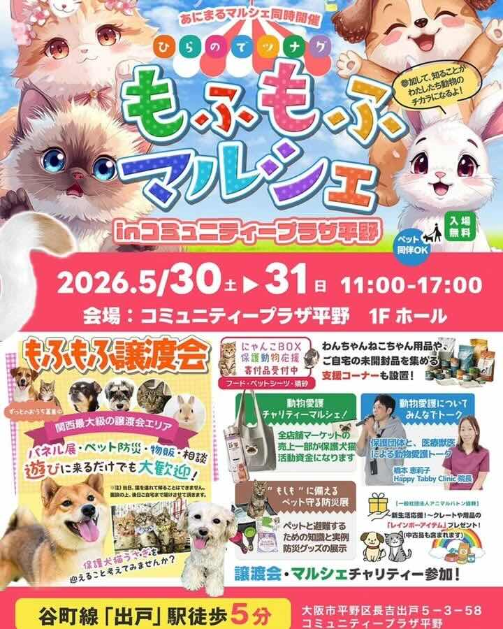 もふもふ譲渡会 in コミュニティプラザ平野のイベント画像