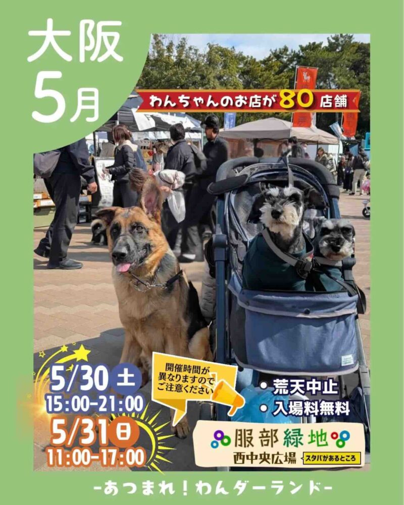 あつまれ！わんダーランドのイベント画像