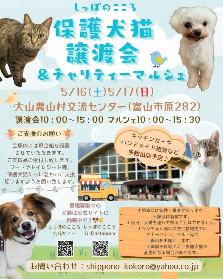しっぽのこころ 保護犬猫譲渡会＆チャリティーマルシェのイベント画像
