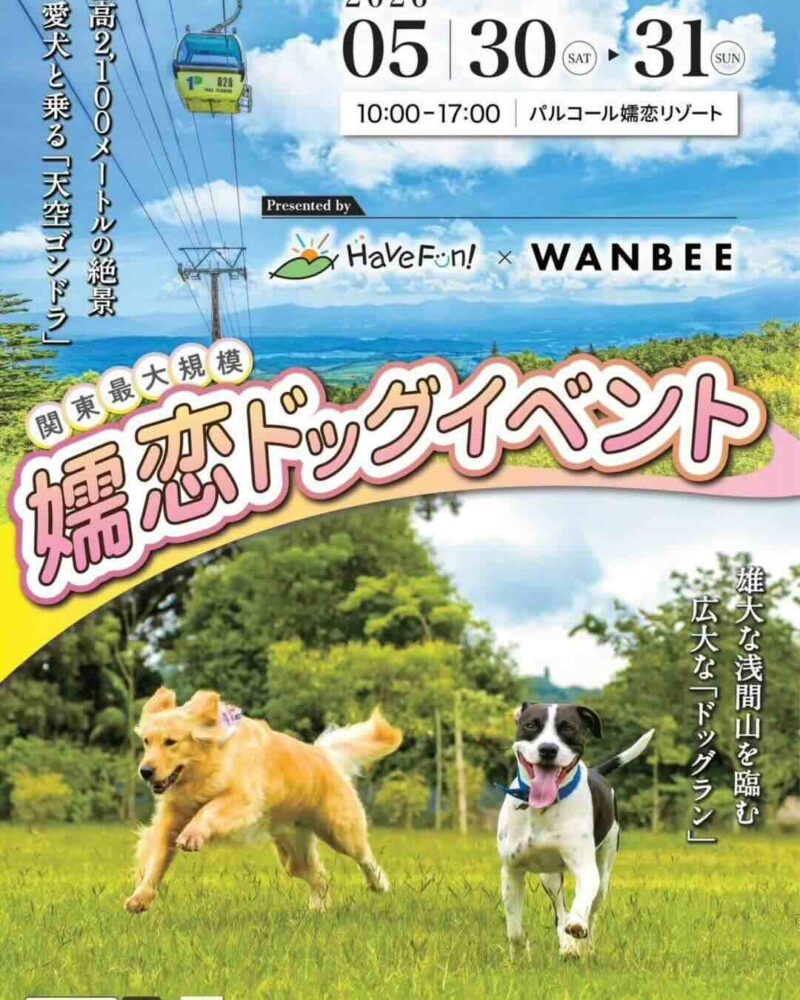 嬬恋ドッグイベントHave Fun! × WANBEE in パルコール嬬恋2026のイベント画像