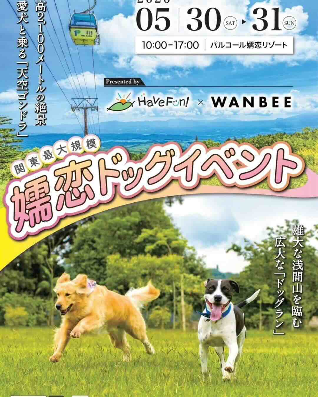 嬬恋ドッグイベントHave Fun! × WANBEE in パルコール嬬恋2026のイベント画像