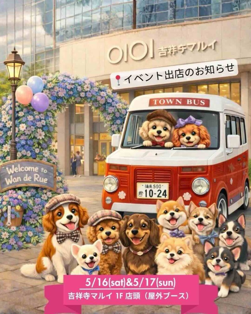 Lovely pets fes@吉祥寺マルイのイベント画像