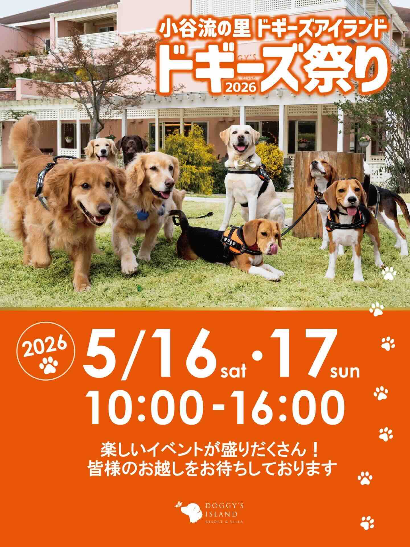 ドギーズ祭り2026のイベント画像