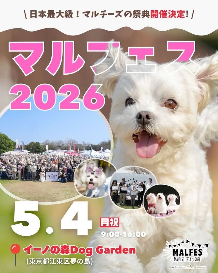 マルフェス 2026 meets イーノの森Dog Gardenのイベント画像