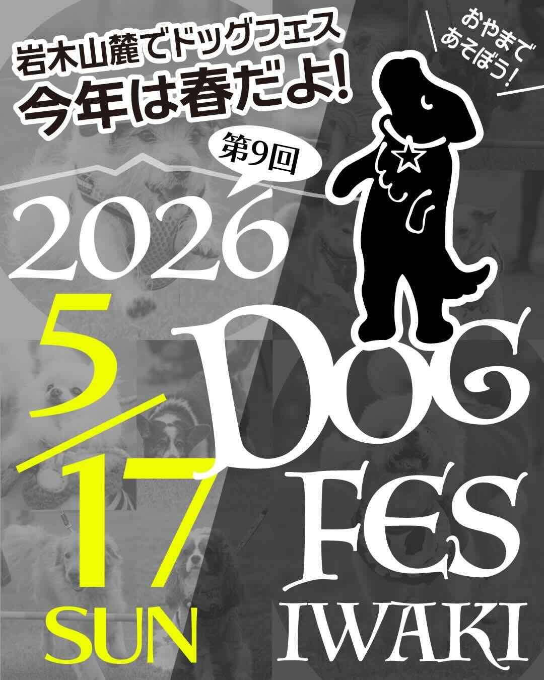 第9回DOG FES IWAKI 2026のイベント画像