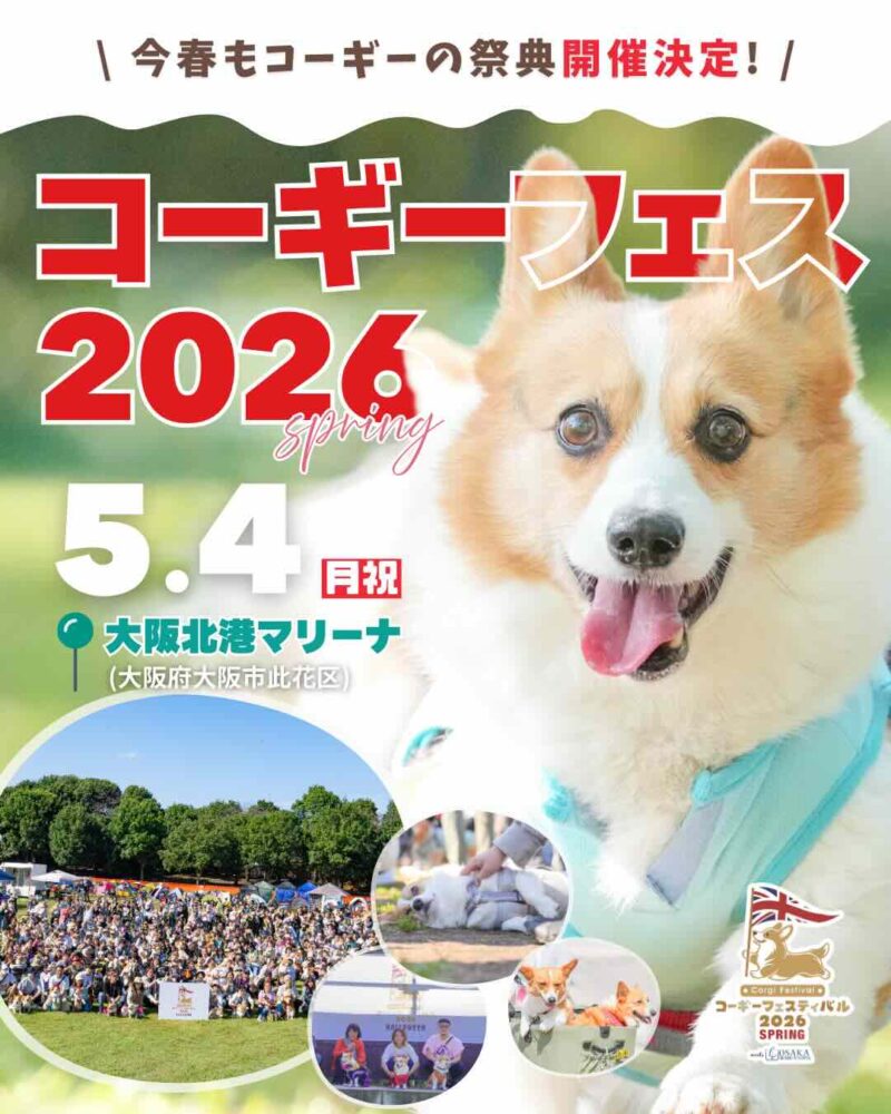 コーギーフェスティバル 2026 SPRING meets 大阪北港マリーナのイベント画像