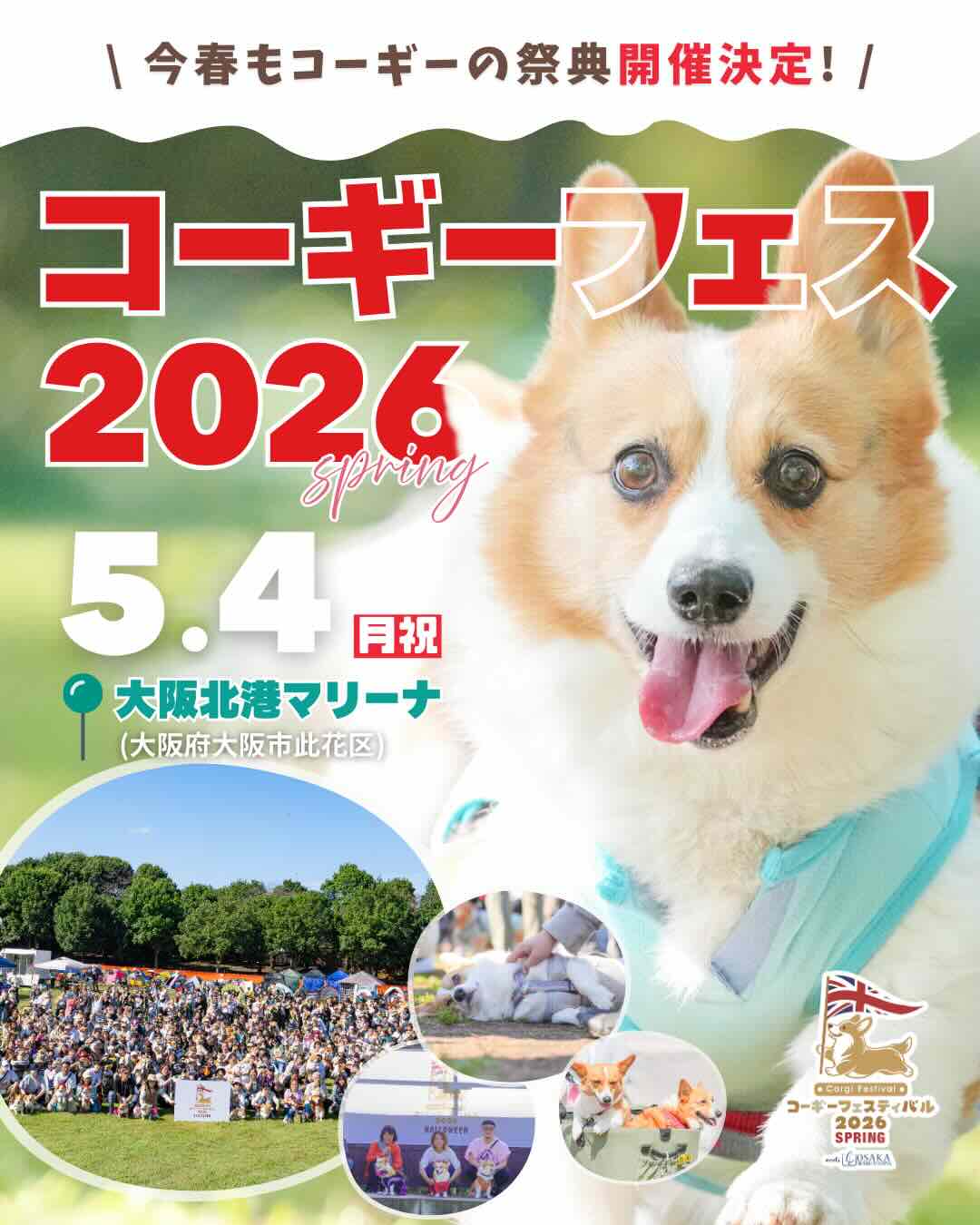 コーギーフェスティバル 2026 SPRING meets 大阪北港マリーナのイベント画像