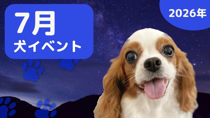 【犬とお出かけ】2026年7月犬イベントの画像