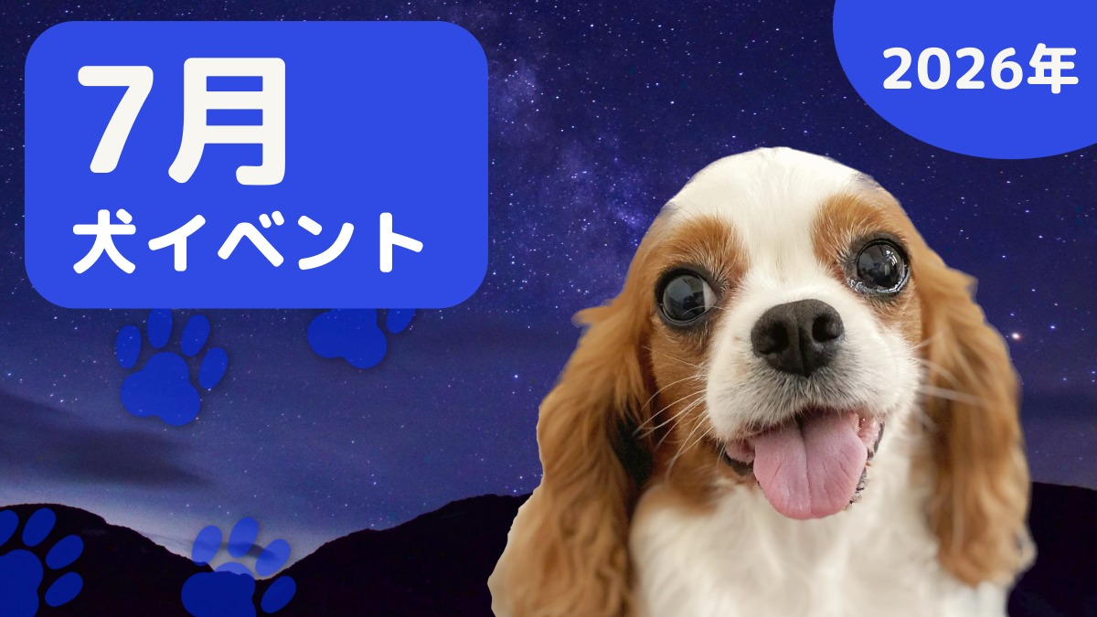 【犬とお出かけ】2026年7月犬イベントの画像