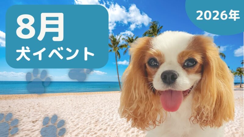 【犬とお出かけ】2026年8月犬イベントの画像