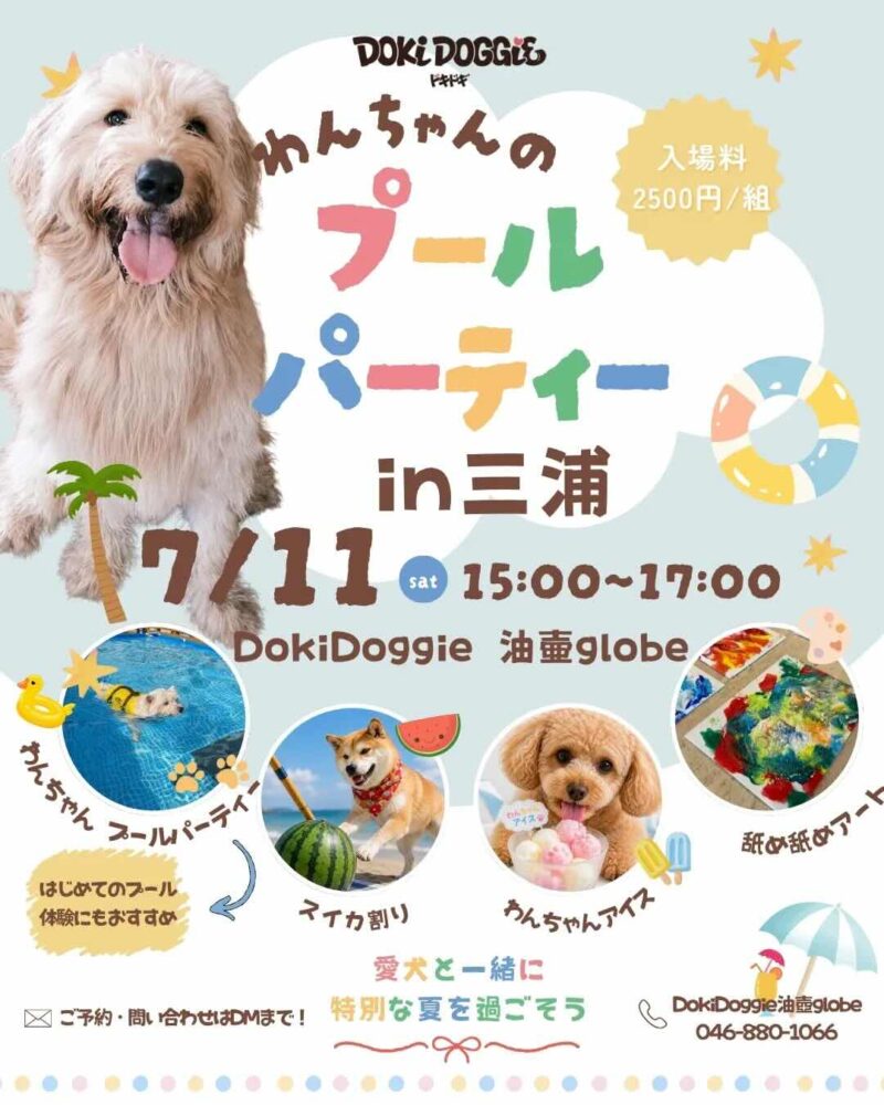 わんちゃんのプールパーティー in DokiDoggieのイベント画像