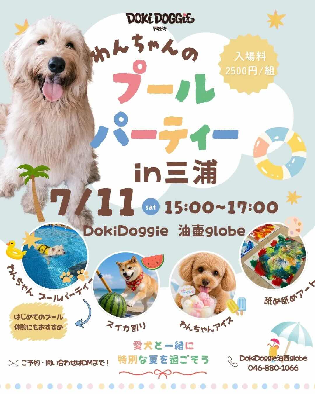 わんちゃんのプールパーティー in DokiDoggieのイベント画像
