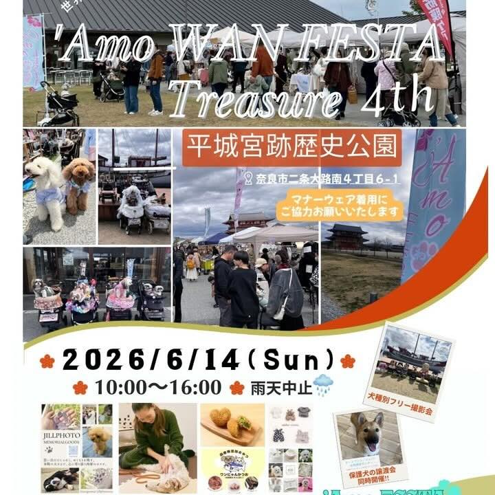 ’Amo WAN FESTA Treasure 4thのイベント画像