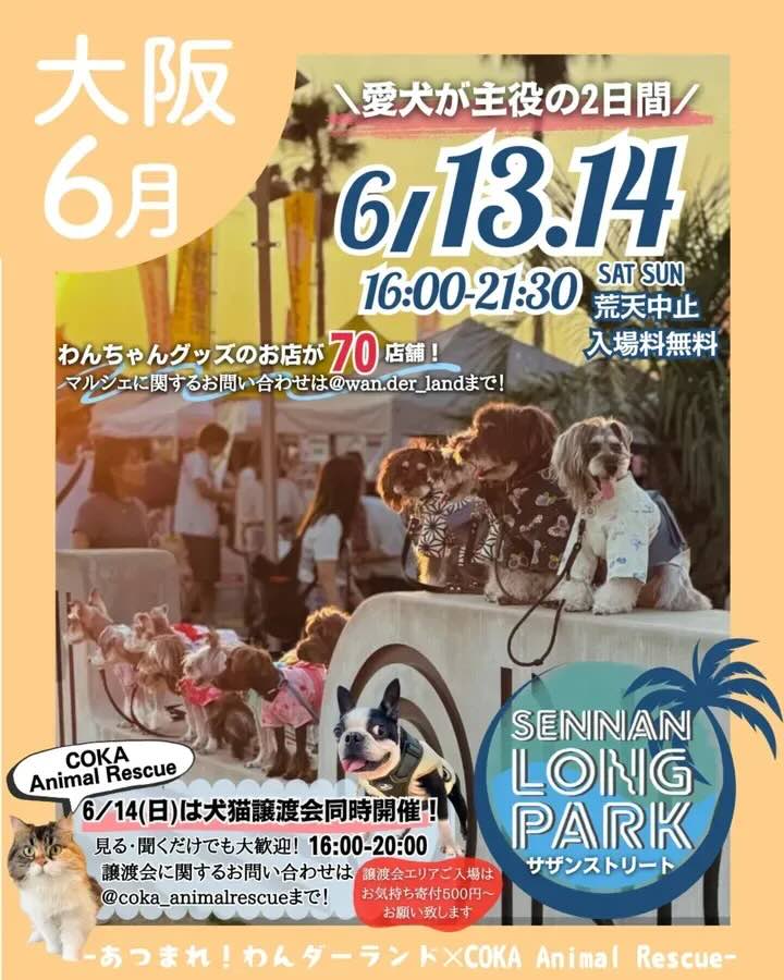 あつまれ！わんダーランド in SENNAN LONGPARKのイベント画像
