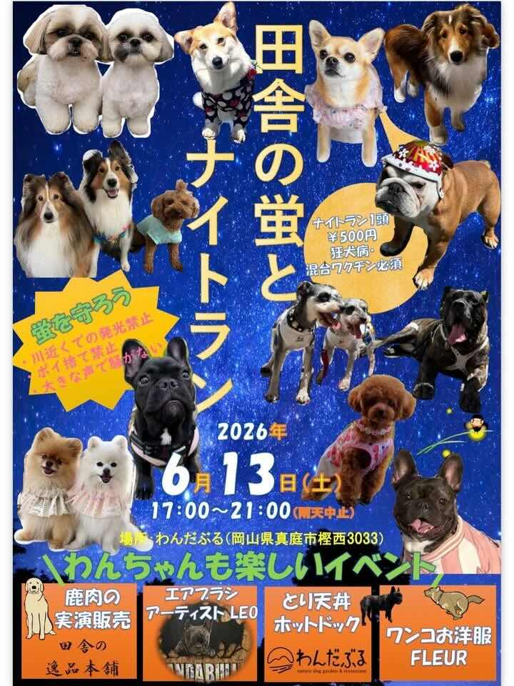 田舎の蛍とナイトランのイベント画像