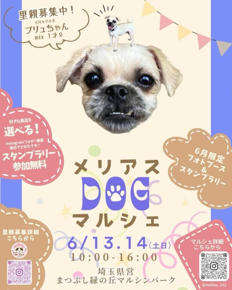 メリアスDOGマルシェのイベント画像