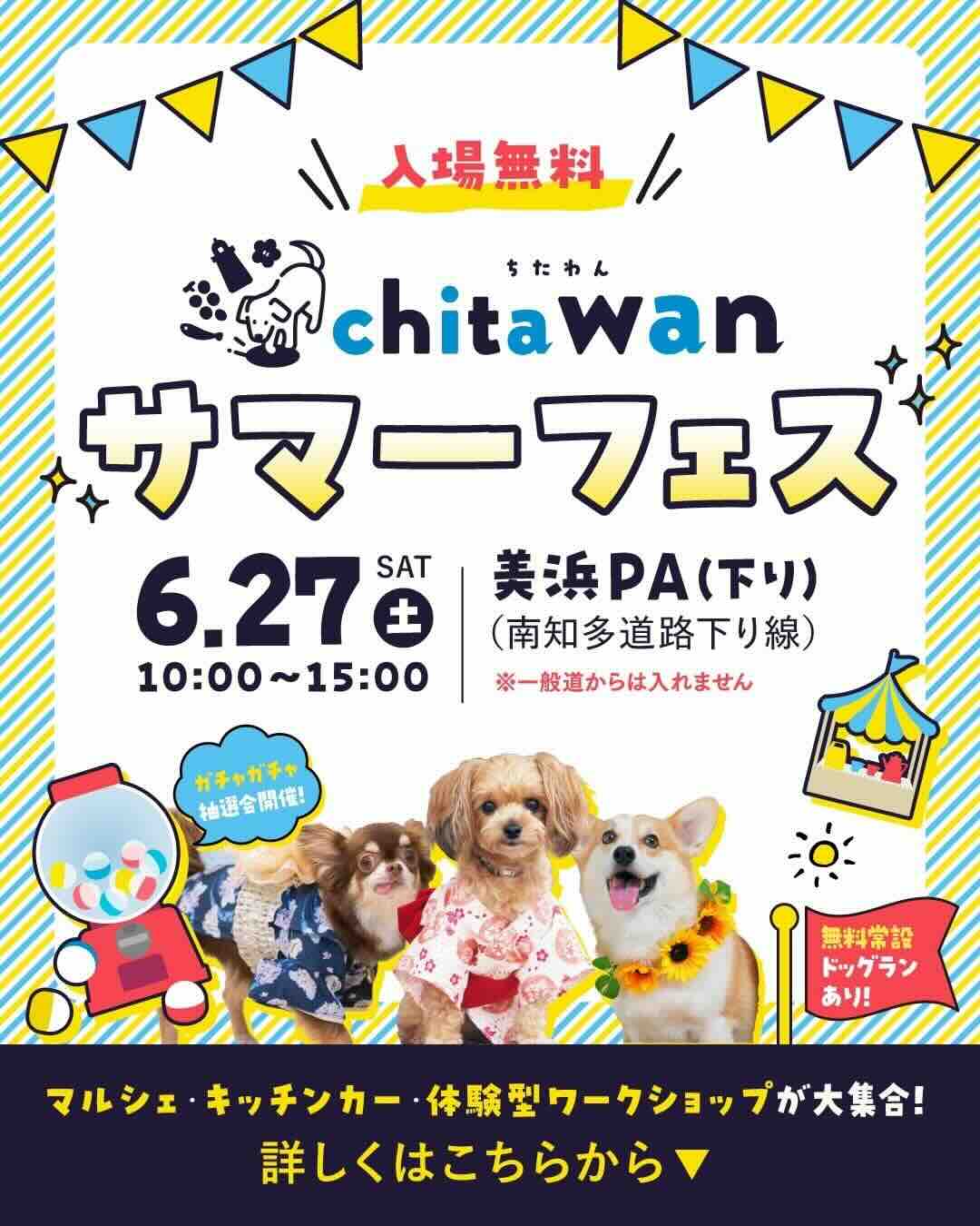 chita wanサマーフェスのイベント画像