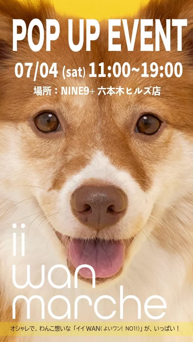 いいWANマルシェのイベント画像