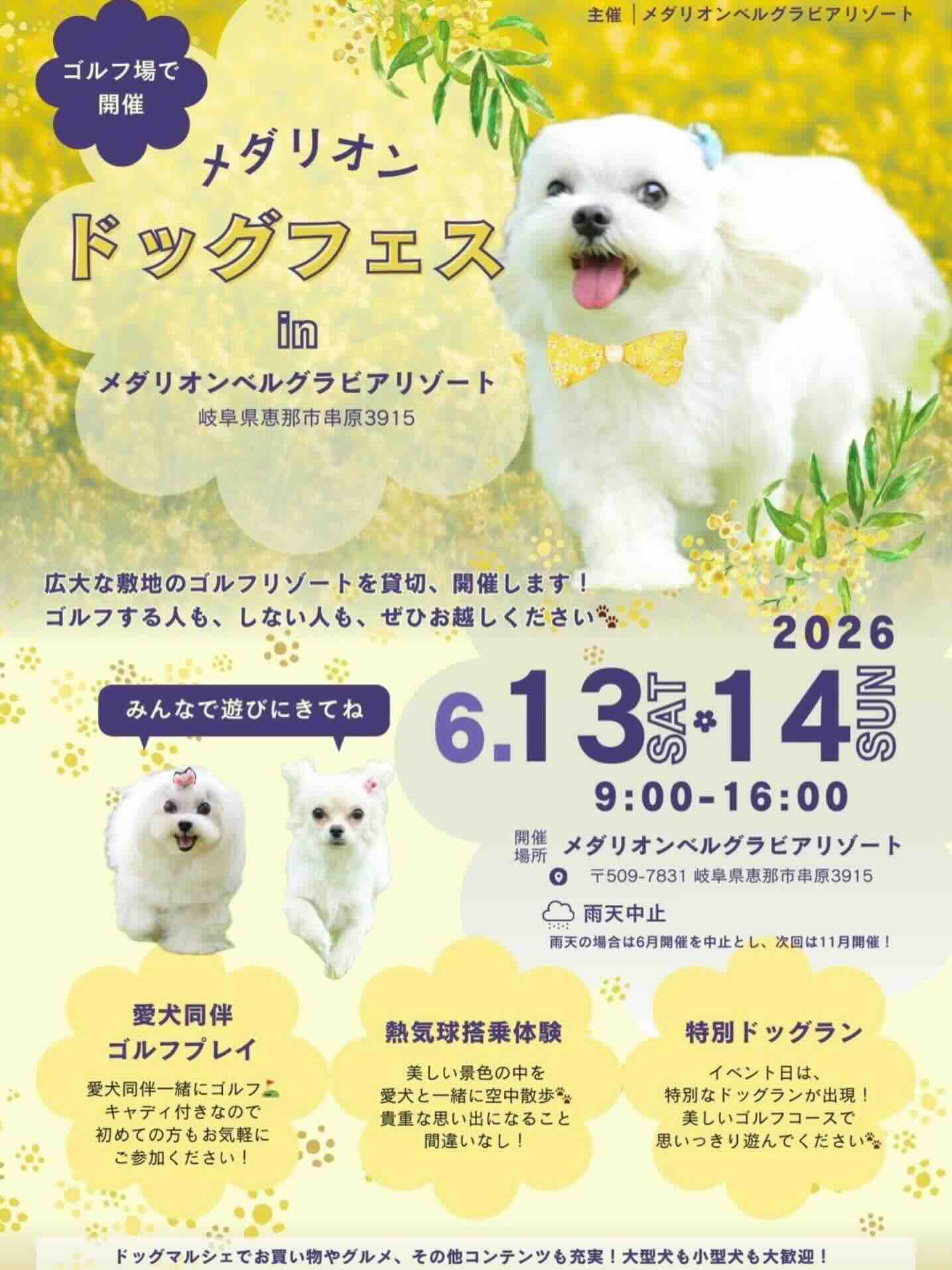 Medallion Dog Fes in メダリオン・ベルグラビアリゾートのイベント画像