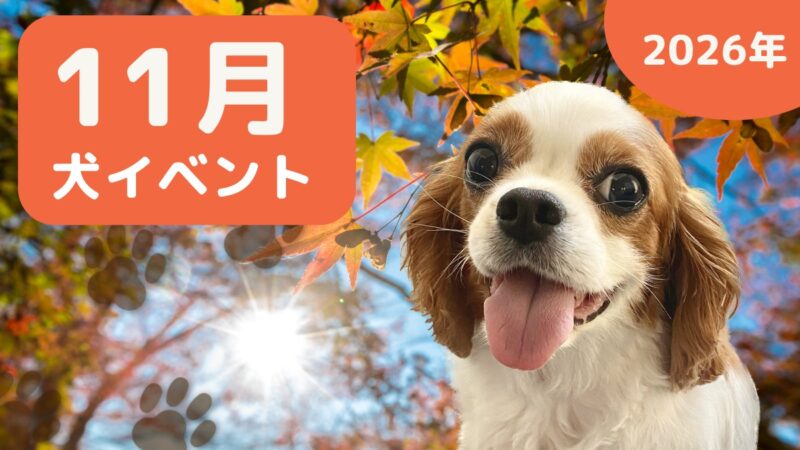 【犬とお出かけ】2026年11月犬イベントの画像